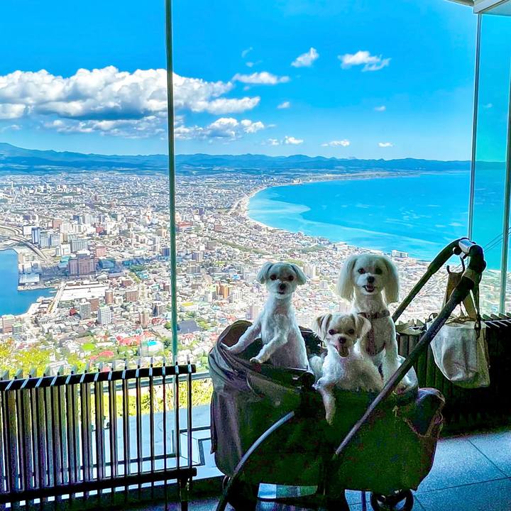 1b3449ef 6223 44ec 86fb 8509df1718dc 1662354520296