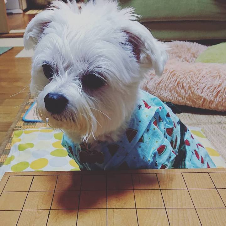 1b345123 4100 4d2a b403 b1b9136aaaf1 1594900896501