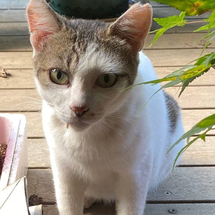 1b346087 5fd5 4ead 8958 879e6199954f 1597878507108