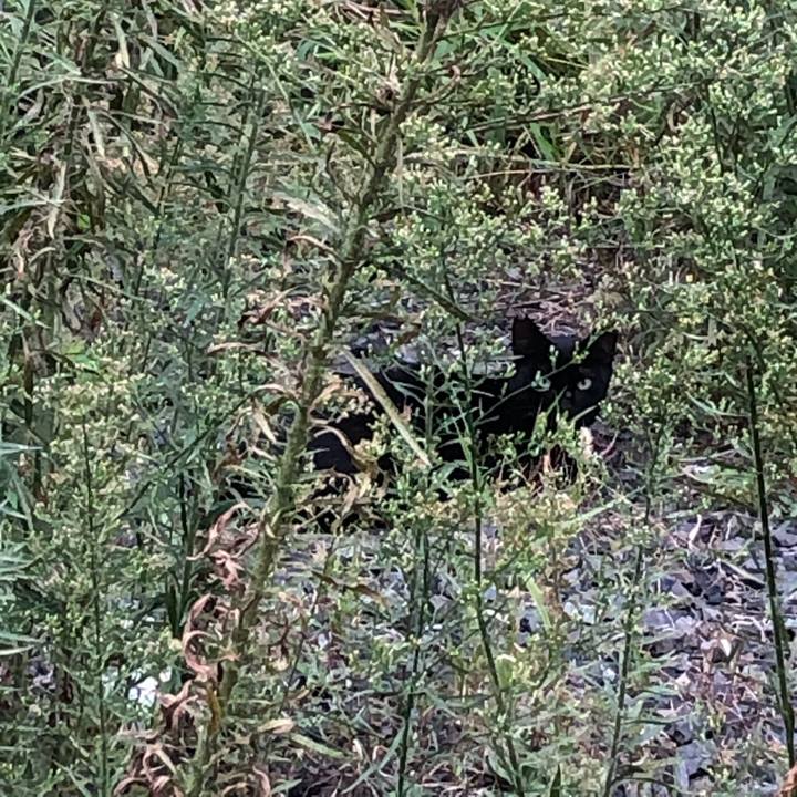 1b34739b d79c 408b 9646 600a5cc0020e 1601364347361