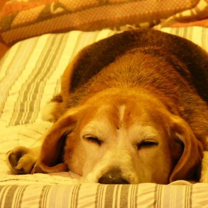 1b348b43 b351 4568 b394 cc20caddb8d2 1645839474331