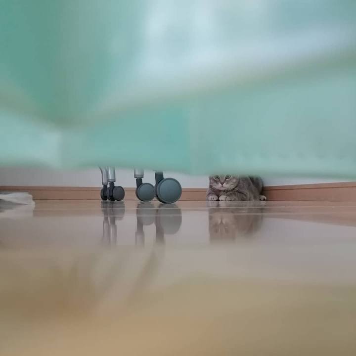 1b349ae7 1b7c 4f32 9b4f 1f007f10fd1d 1547626746255