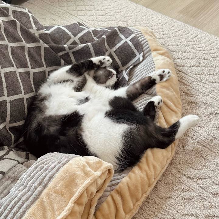 1b34b10e 6c16 48ae 844a d9181387e7ac 1761626295857