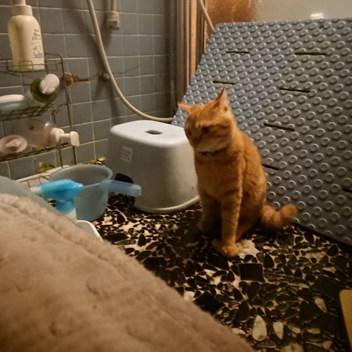 1b34c05a cc5c 4422 9801 f103d1e4bea2 1641985403094