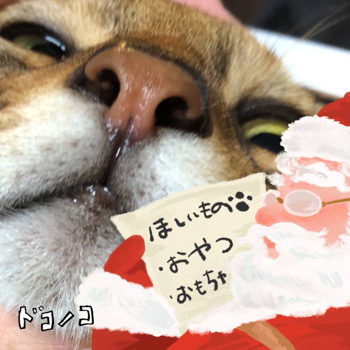 1b34dc0f cb39 40db 95da 52d096820e95 1730878468066