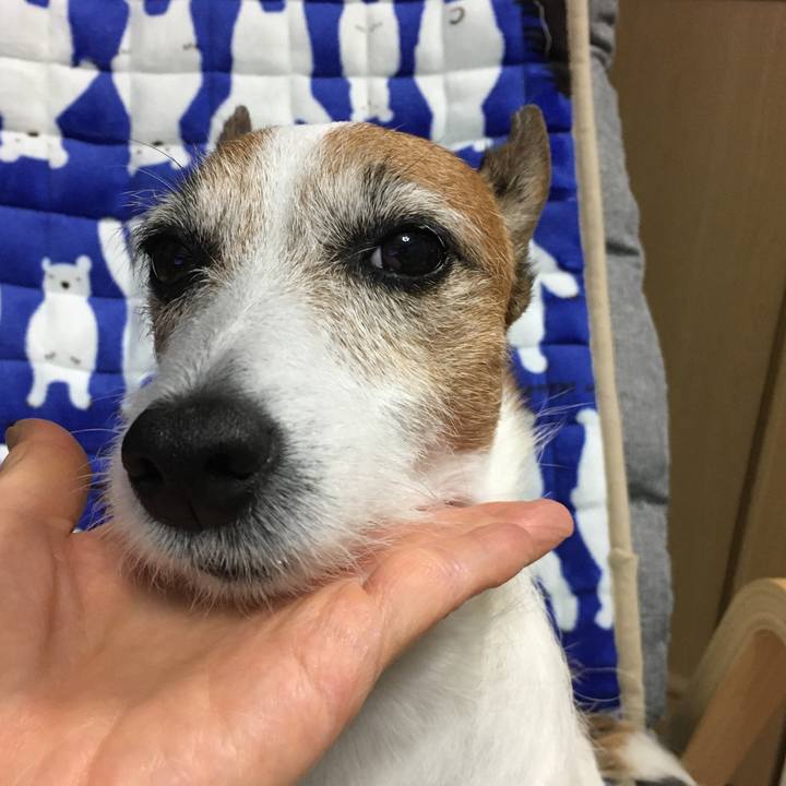 1b34e92d dab1 42d2 ad76 86a196c75205 1593559991930