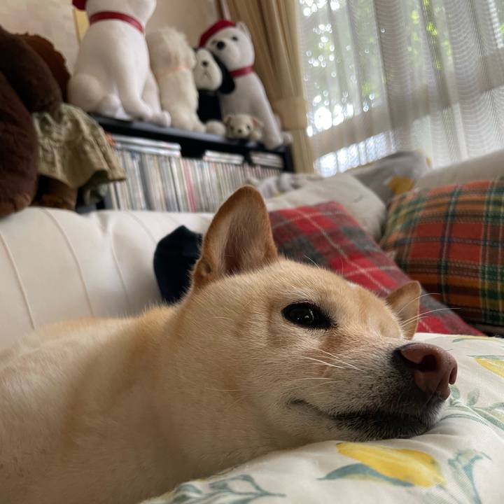 1b3500f8 03e9 4835 82fc ef9487142be7 1661213810412