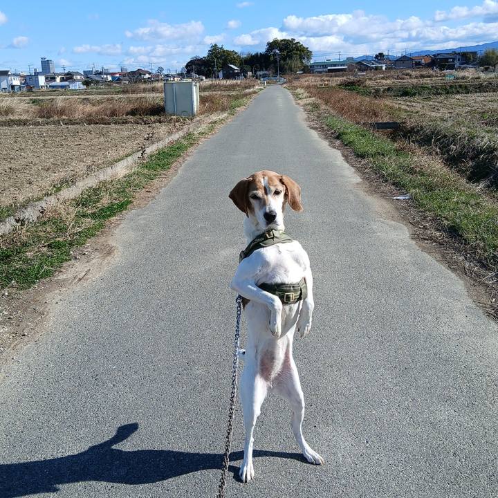 1b354d72 80ec 45cc a059 cfed73a157f6 1767678568280