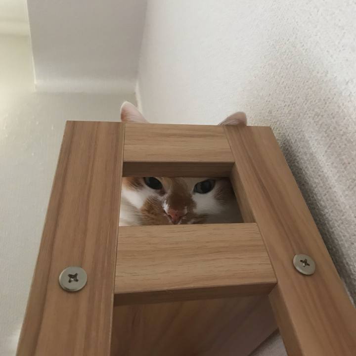 1b3558e5 e482 4dd6 9062 9d074cb6010f 1582241692994