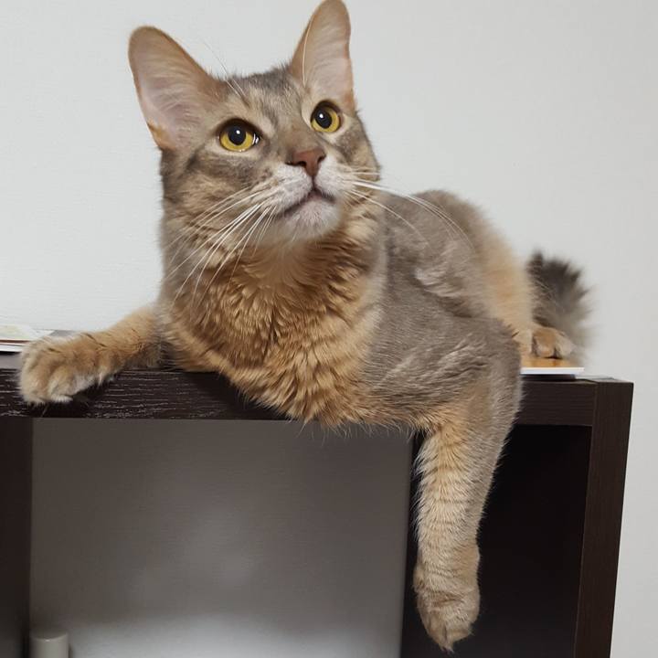 1b358a78 a2ce 4a89 b118 7cd04a8cba24 1579076176431