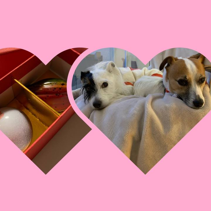 1b35c793 b00a 49b8 858b 800ac792a63c 1581684081649