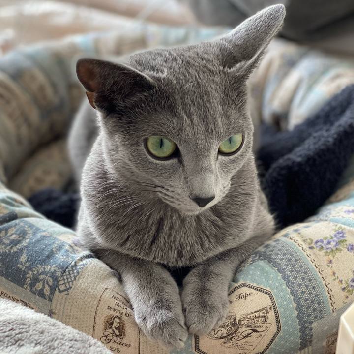 1b35e11a 7e8f 4b1b 8d75 29bac42b2cdb 1614225288070