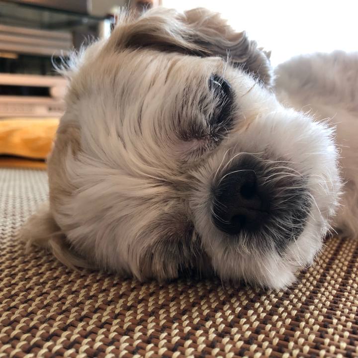 1b362b9e 4e3c 4dba 86e9 b679f17edcce 1598566611677