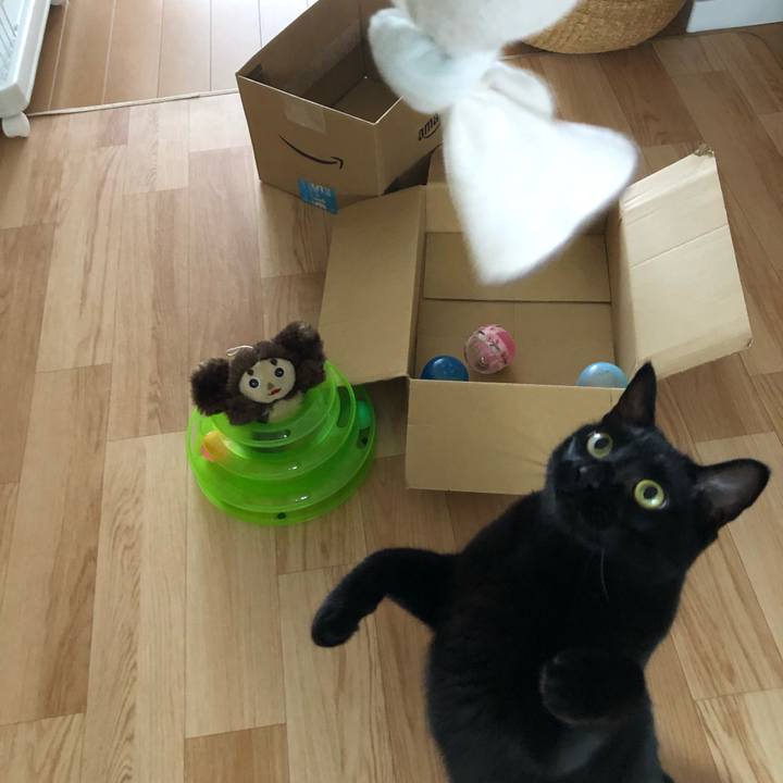 1b363543 b9e8 4225 8123 188e15cafcf0 1565751651974