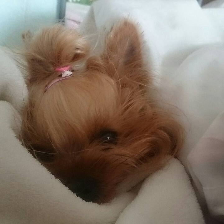 1b3653a7 068f 435a b64f aaef5eb8796e 1519804543173