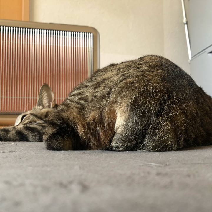 1b366712 eebe 4450 aeb6 e58d5d5d32d7 1644611945192