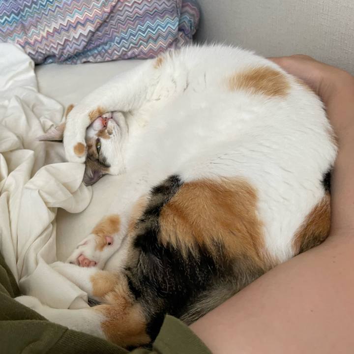 1b36947b 0b74 40db 838e e304bf524dd8 1659325003169