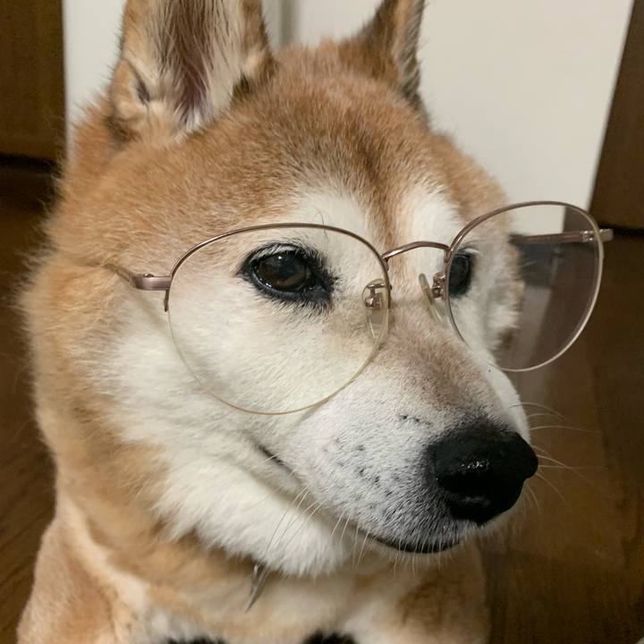 1b36b2ee 8cf4 4ae6 b5c0 41ec86f48202 1565703332953