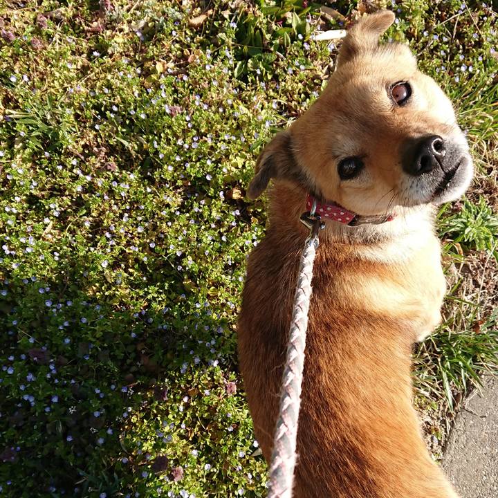 1b372725 efe5 48b0 844f e89e3b72dbb3 1554978521978