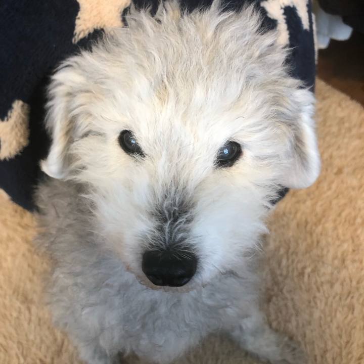 1b374172 7808 4817 a8a2 36aa075b28e9 1644192271371