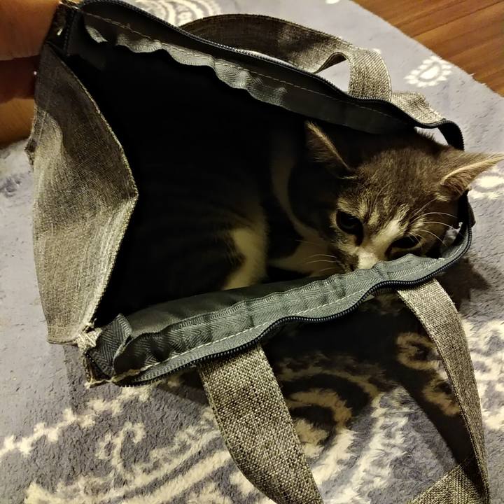 1b374d91 a479 4eb6 b31c 52be1ba41114 1568381640972