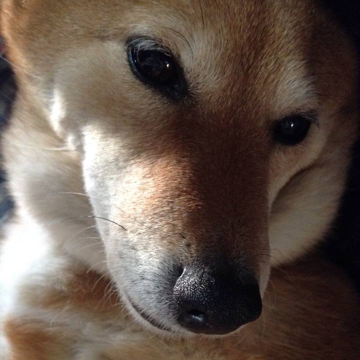 1b377419 fd76 47e5 aa58 06b174bbf4be 1517987466469