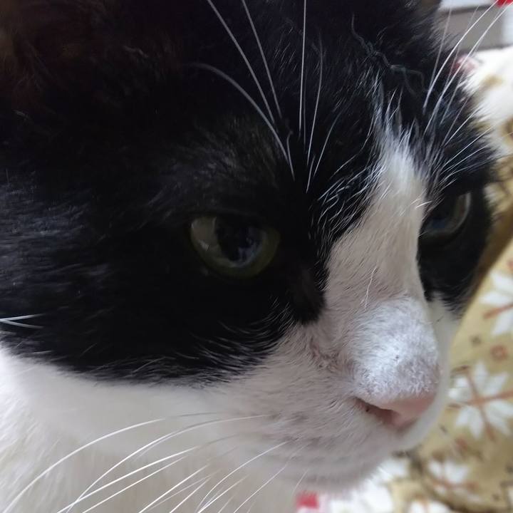 1b377ac4 176f 4c48 ae41 c4f8d1b42b03 1570658256941