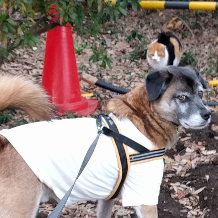 1b37b95d 6289 4fac 9624 e2e2c7997920 1706578116983