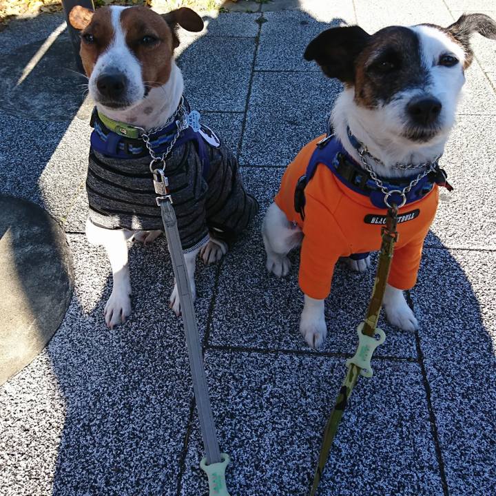 1b37d5bd 20f4 4d6d baad c330835082e6 1610151641637