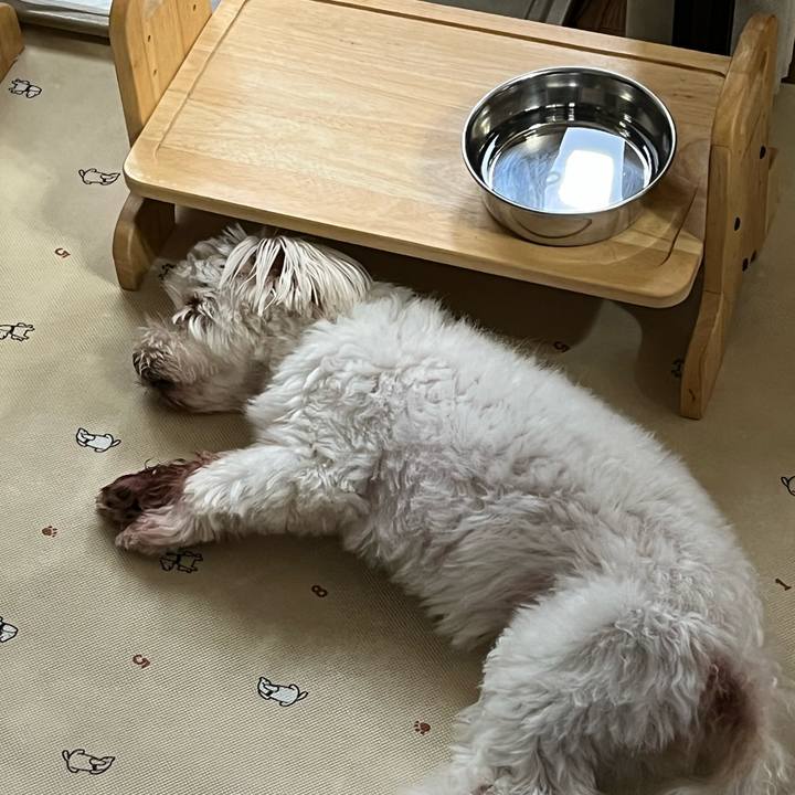 1b37df26 c455 42a2 abd5 4dfc00d1fd4e 1657754282446