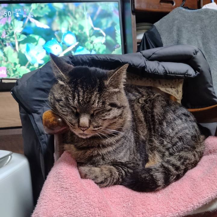 1b37ea48 437c 4afc 8ba3 371c0c831b53 1706003537243