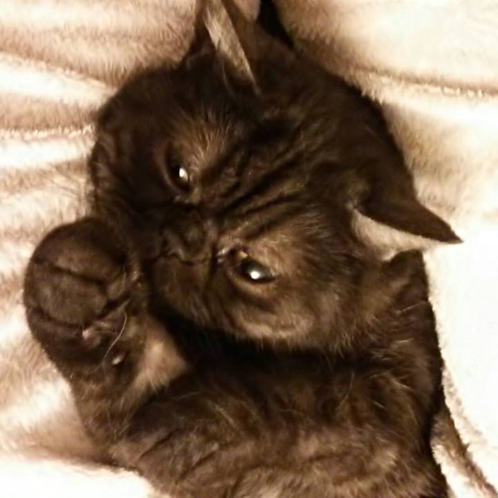 1b37fb26 f7bf 42a8 a841 83cfd37bb354 1526136195289