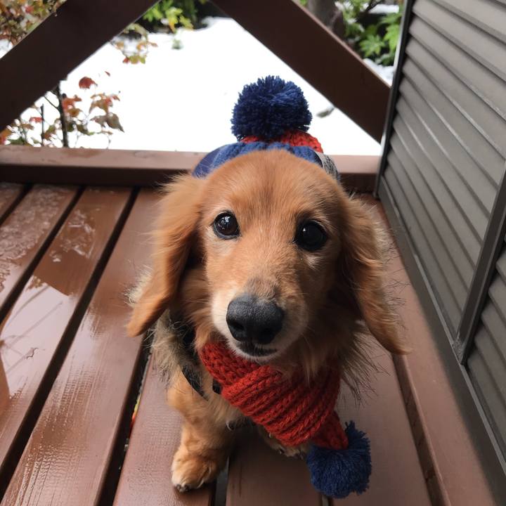 1b37ffa0 3c22 4100 a468 7467e0f5474a 1585457646267