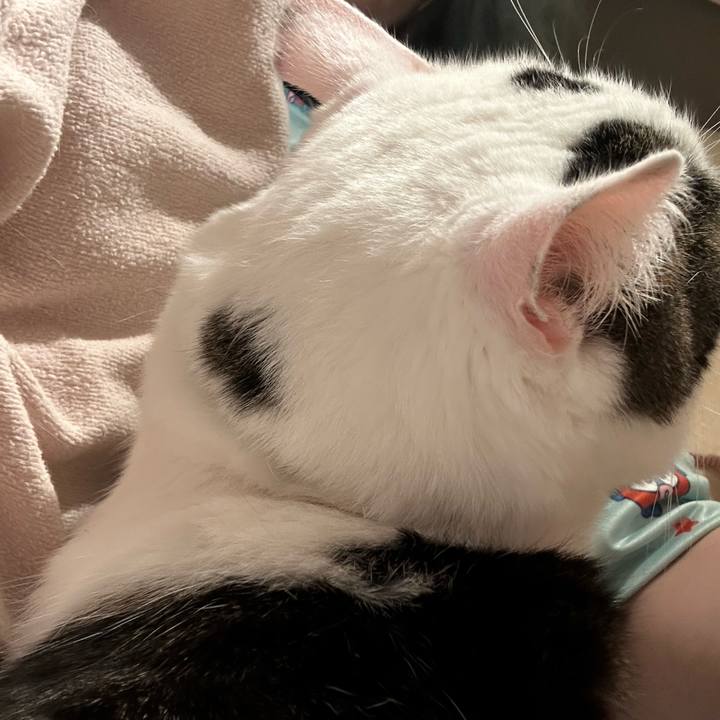 1b3802c6 2820 4884 a396 2211fb406615 1761666226092