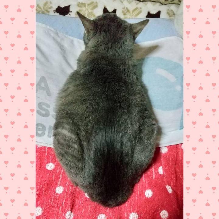 1b380f0d 04a7 4d41 892c abdafbd3cff7 1608087566028