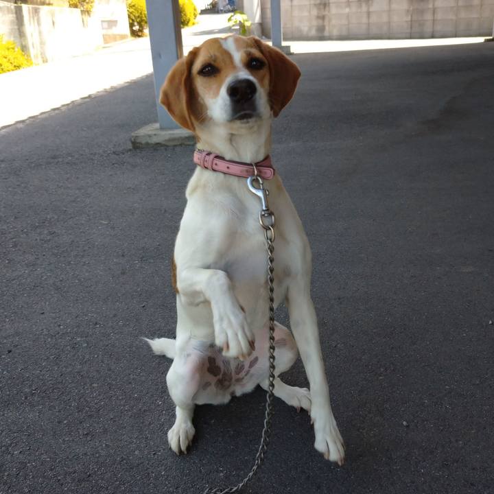 1b3834eb d50a 4cad 97f1 89f4ea58b34d 1592968131080