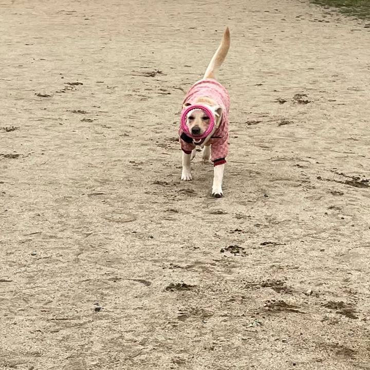 1b383619 ffb0 412c 8d29 588e4f5f8a92 1647862598825