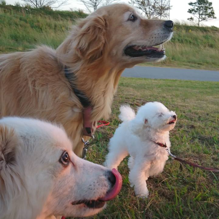 1b3859ff 1655 428d 9333 48a8b23deed8 1540371920437