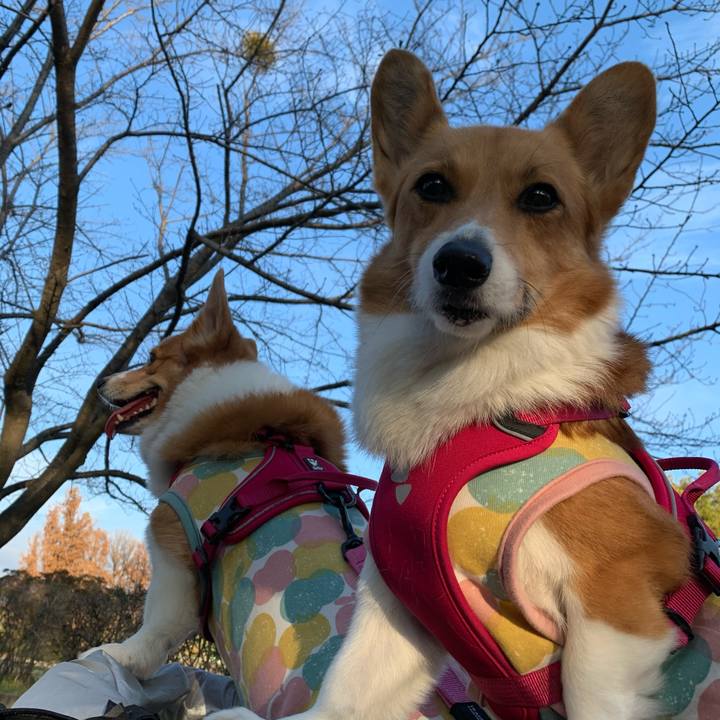 1b386ebf 77db 49ac b18a 43f3dc7a3e91 1607587781450