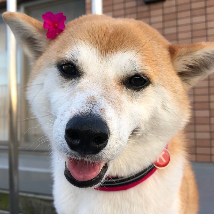 1b38947e b04a 4b0f 9295 73962d2dfd7b 1531175825510