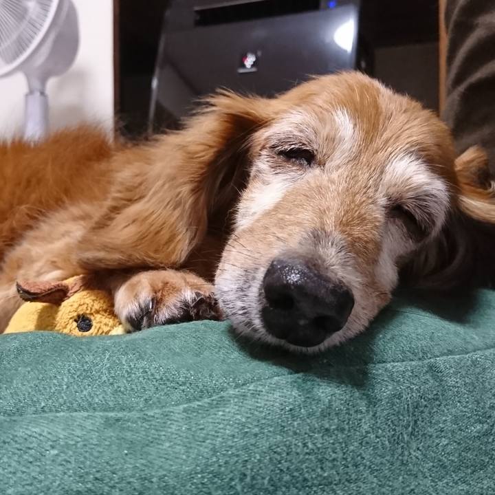 1b389db9 60d4 4516 9616 519fcc56b4f4 1570901625996