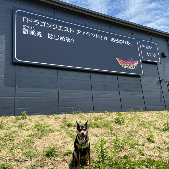 1b38a1b5 bb02 46e8 bb60 dae4a53e4bc5 1624271980422