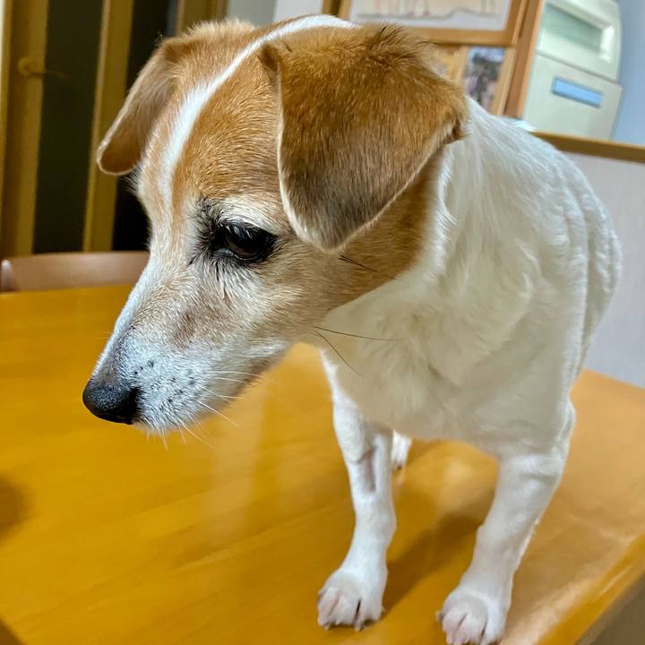 1b38b581 6bb5 41e3 9042 25fa3b15fb93 1700314046894