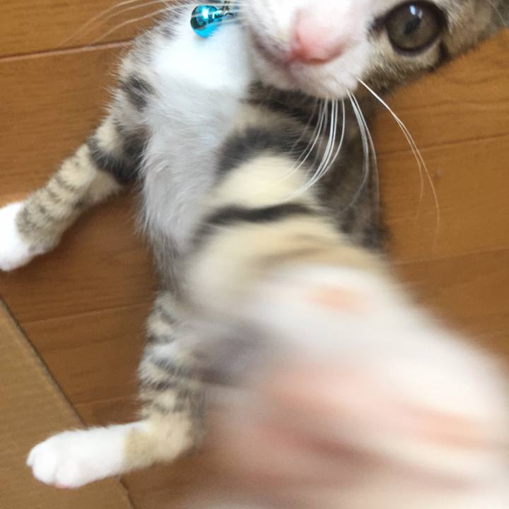 1b38f01a 2df8 45fc 80b0 a0bf0405f168 1653696037167