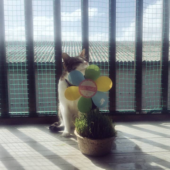 1b38f938 13dd 4619 bf12 e642a109ac8a 1523837496449