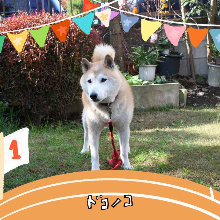 1b394e1c 9dcb 417c b303 35df7f08c887 1761151700508