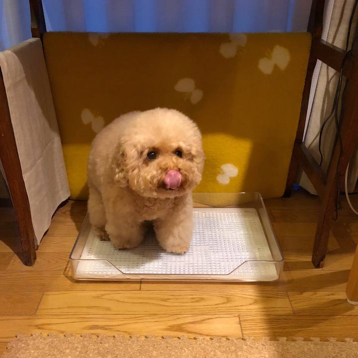 1b395a31 4f18 40f6 95a7 a9e8f1de8aaf 1508107852125