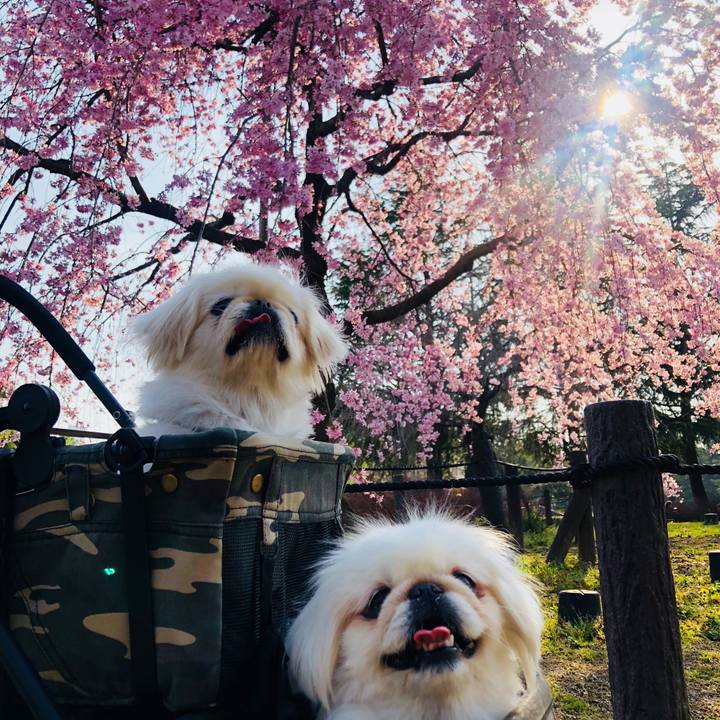 1b396462 169a 4390 8a13 fd2997be64e3 1616752487776