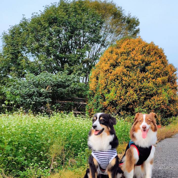 1b3996fd 2ef8 4c32 99d2 984abc4687a9 1759577683807