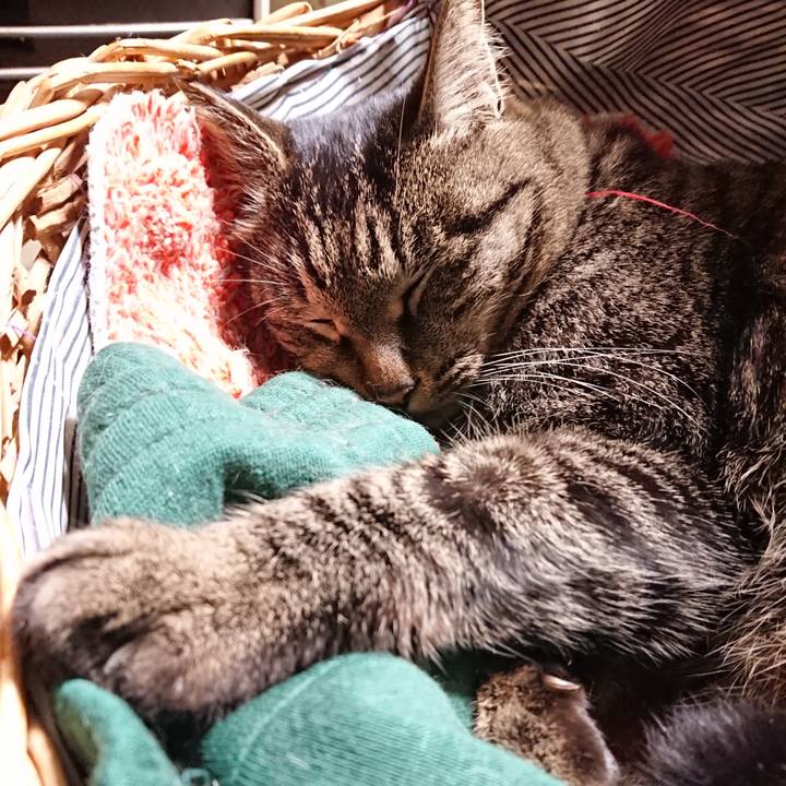 1b39d558 bf61 4c7f 9652 475e496c52f2 1642682595843